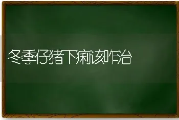 冬季仔猪下痢该咋治