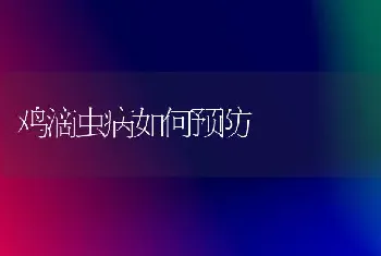 鸡滴虫病如何预防