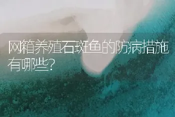 网箱养殖石斑鱼的防病措施有哪些?