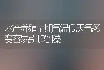 水产养殖早期气温低天气多变容易引起倒藻