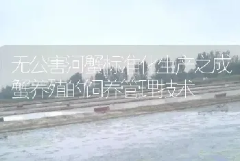 无公害河蟹标准化生产之成蟹养殖的饲养管理技术