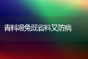 青料喂兔既省料又防病