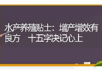 水产养殖贴士：增产增效有良方 十五字决记心上