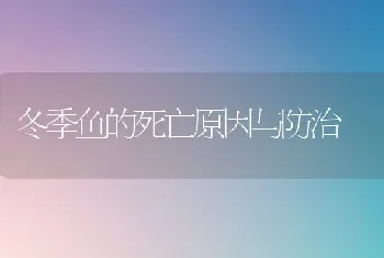 冬季鱼的死亡原因与防治