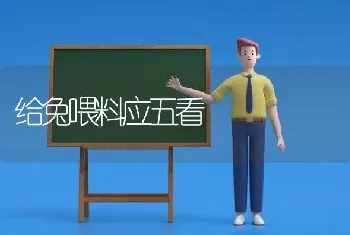 给兔喂料应五看