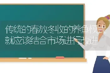 传统的春放冬收的养鱼模式就应该结合市场进行改进