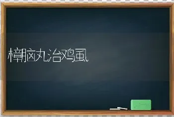 樟脑丸治鸡虱