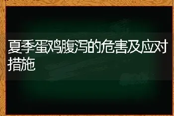 夏季蛋鸡腹泻的危害及应对措施