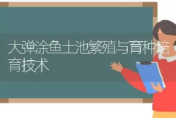 大弹涂鱼土池繁殖与育种培育技术