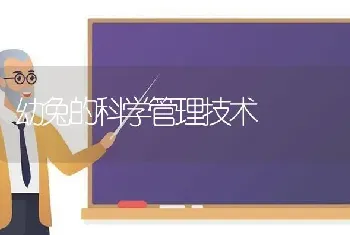 幼兔的科学管理技术