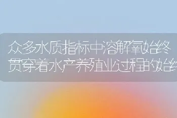 众多水质指标中溶解氧始终贯穿着水产养殖业过程的始终