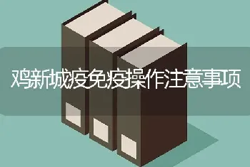 鸡新城疫免疫操作注意事项