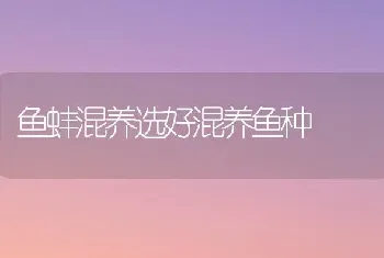 麦麸、米糠、豆渣、酒糟等饲料正确饲喂法