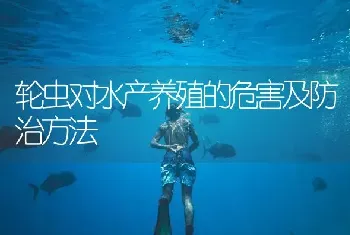 轮虫对水产养殖的危害及防治方法