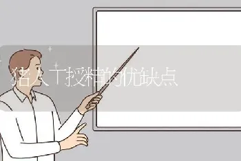 猪人工授精的优缺点