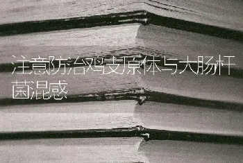 注意防治鸡支原体与大肠杆菌混感