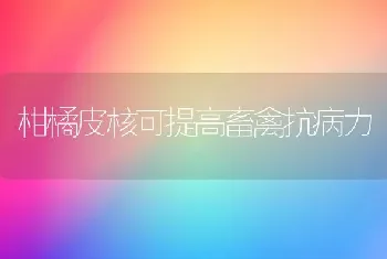 柑橘皮核可提高畜禽抗病力