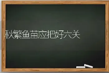 秋繁鱼苗应把好六关