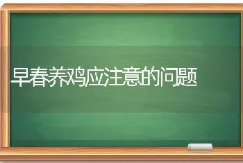 早春养鸡应注意的问题