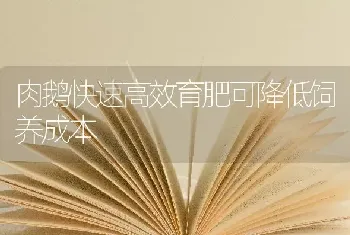 肉鹅快速高效育肥可降低饲养成本