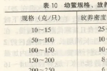 黄沙鳖养殖技术之幼鳖饲养