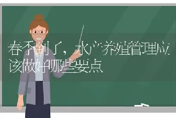 春季到了,水产养殖管理应该做好哪些要点