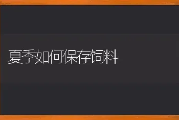 夏季如何保存饲料