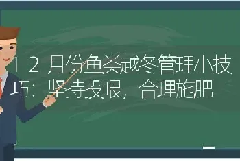 12月份鱼类越冬管理小技巧：坚持投喂,合理施肥