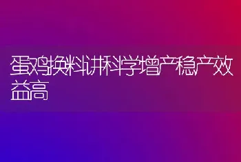 蛋鸡换料讲科学增产稳产效益高