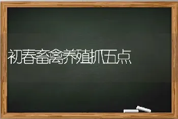 初春畜禽养殖抓五点