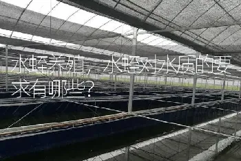 水蛭养殖,水蛭对水质的要求有哪些?