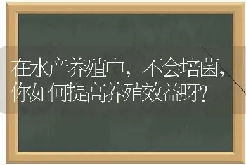 在水产养殖中,不会培菌,你如何提高养殖效益呀?