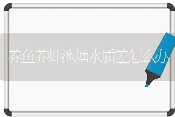 养鱼养虾池塘水质差怎么办