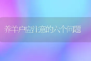 养羊户应注意的六个问题