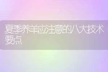 夏季养羊应注意的八大技术要点