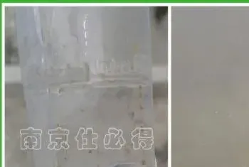 浮游动物过量繁殖,导致河蟹塘白浊混的处理方法