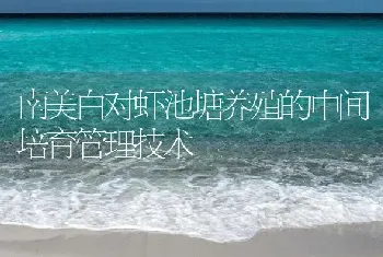 南美白对虾池塘养殖的中间培育管理技术