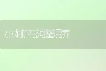 小龙虾与河蟹混养