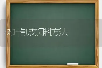 树叶制成饲料方法