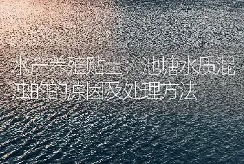 水产养殖贴士：池塘水质混浊的的原因及处理方法