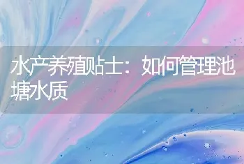 水产养殖贴士：如何管理池塘水质