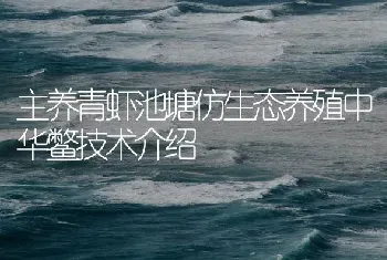 主养青虾池塘仿生态养殖中华鳖技术介绍