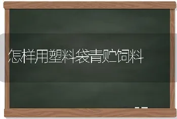 怎样用塑料袋青贮饲料