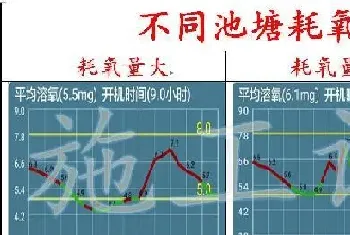 夏季水产养殖户如何保持池塘溶解氧?