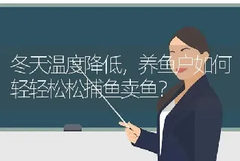 冬天温度降低,养鱼户如何轻轻松松捕鱼卖鱼?