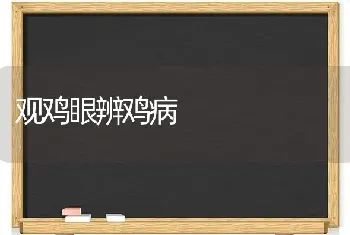 观鸡眼辨鸡病