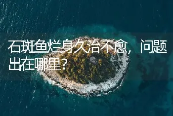 石斑鱼烂身久治不愈,问题出在哪里?