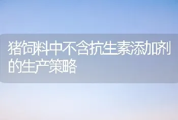 猪饲料中不含抗生素添加剂的生产策略