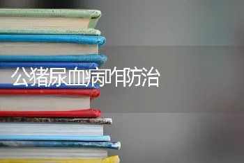 公猪尿血病咋防治