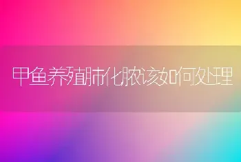 甲鱼养殖肺化脓该如何处理